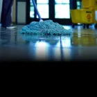 Business 5 image ENVIRONMENT CONTROL Cleaning Services in Kent WA