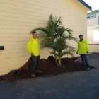 Business 3 image ENVIRONMENTAL GREEN TREE CARE Tree Service in Anaheim CA