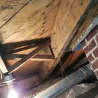 Business 1 image ENVIRONMENTAL MOLD SOLUTIONS LLC Mold Removal in Columbia SC