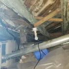 Business 3 image ENVIRONMENTAL MOLD SOLUTIONS LLC Mold Removal in Columbia SC