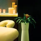 Business 4 image EQUINOX Nutritionists in Dallas TX