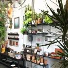 Business 3 image ESTABLISH Vintage Store in San Francisco CA