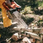 Business 1 image EVER TREE CARE SERVICES Tree Service in Oakland CA
