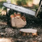Business 2 image EVER TREE CARE SERVICES Tree Service in Oakland CA