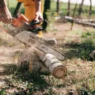 Business 3 image EVER TREE CARE SERVICES Tree Service in Oakland CA