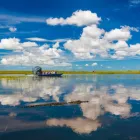 Business 4 image EVERGLADES AIRBOAT EXCURSION MIAMI Boat Tour Agency in Miami FL