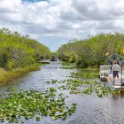 Business 6 image EVERGLADES AIRBOAT EXCURSION MIAMI Boat Tour Agency in Miami FL