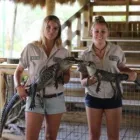 Business 12 image EVERGLADES AIRBOAT EXCURSION MIAMI Boat Tour Agency in Miami FL