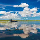 Business 8 image EVERGLADES AIRBOAT EXCURSION Everglades Airboat Tours in Miami FL