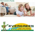 Business 4 image EVERGREEN LAWN & PEST CONTROL Termite Control Service in Orlando FL