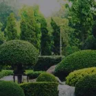 Business 9 image EVERGREEN SPRINKLER AND LANDSCAPING SERVICES Sprinklers-Garden & Lawn in West Palm Beach FL
