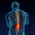 Business 1 image EVERWELL CHIROPRACTIC Massage in Louisville KY