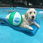 Business 1 image EVOLVE INSURANCE CONSULTANTS Life Insurance Agency in Toledo OH