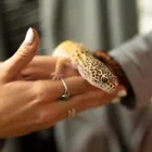 Business 8 image EVOLVE TREATMENT CENTERS SAN DIEGO Addiction Treatment in San Diego CA