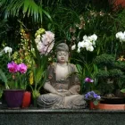 Business 1 image EXOTIC PLANTS Plants-Interior Design & Maintenance in Sacramento CA