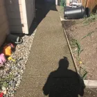 Business 9 image EXPERIENCED ROOF & GUTTER CLEANING Power Washing in Kent WA