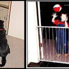 Business 1 image EXPERT GATE REPAIR CO CYPRESS in Cypress TX