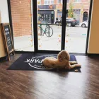 Business 1 image EYES IN THE PARK Optometrists in Chicago IL