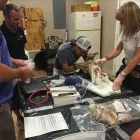 Business 4 image FAITHFUL GUARDIAN TRAINING CENTER - SOUTHSIDE in Mcdonough GA