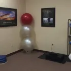 Business 5 image FAMILY TREE CHIROPRACTIC Pain Management in Oklahoma City OK