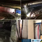 Business 1 image FDP MOLD REMEDIATION OF BALTIMORE Mold Removal in Baltimore MD