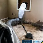 Business 4 image FDP MOLD REMEDIATION OF BALTIMORE Mold Removal in Baltimore MD