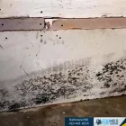 Business 8 image FDP MOLD REMEDIATION OF BALTIMORE Mold Removal in Baltimore MD