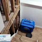 Business 5 image FDP MOLD REMEDIATION OF DALLAS Mold Testing in Farmer's Branch TX