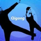 Business 1 image FIT FLOW GO in San Jose CA