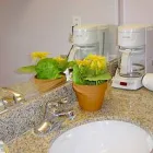 Business 1 image FLAMINGO MOTOR LODGE Motels in San Jose CA