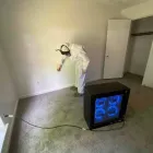 Business 1 image FLOOD PROS USA Mold Testing & Removal in Winter Park FL