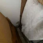 Business 5 image FLOOD PROS USA Mold Testing & Removal in Winter Park FL