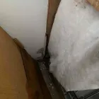 Business 9 image FLOOD PROS USA Mold Testing & Removal in Winter Park FL