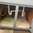 Business 11 image FLOOD PROS USA Mold Testing & Removal in Winter Park FL