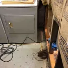 Business 14 image FLOOD PROS USA Mold Testing & Removal in Winter Park FL