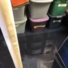 Business 17 image FLOOD PROS USA Mold Testing & Removal in Winter Park FL