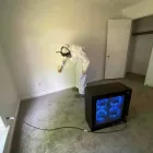 Business 18 image FLOOD PROS USA Mold Testing & Removal in Winter Park FL