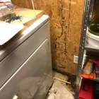 Business 23 image FLOOD PROS USA Mold Testing & Removal in Winter Park FL