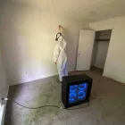 Business 27 image FLOOD PROS USA Mold Testing & Removal in Winter Park FL