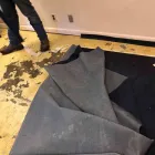Business 33 image FLOOD PROS USA Mold Testing & Removal in Winter Park FL