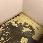 Business 34 image FLOOD PROS USA Mold Testing & Removal in Winter Park FL