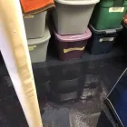 Business 35 image FLOOD PROS USA Mold Testing & Removal in Winter Park FL