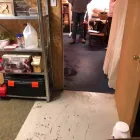 Business 36 image FLOOD PROS USA Mold Testing & Removal in Winter Park FL