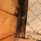 Business 37 image FLOOD PROS USA Mold Testing & Removal in Winter Park FL