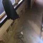 Business 38 image FLOOD PROS USA Mold Testing & Removal in Winter Park FL