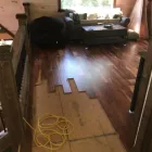 Business 50 image FLOOD PROS USA Mold Testing & Removal in Winter Park FL