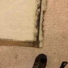 Business 52 image FLOOD PROS USA Mold Testing & Removal in Winter Park FL