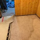 Business 54 image FLOOD PROS USA Mold Testing & Removal in Winter Park FL