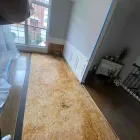 Business 55 image FLOOD PROS USA Mold Testing & Removal in Winter Park FL
