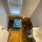 Business 61 image FLOOD PROS USA Mold Testing & Removal in Winter Park FL